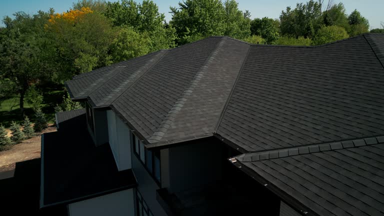 Best Skylight Installation and Repair  in Auburn, MI