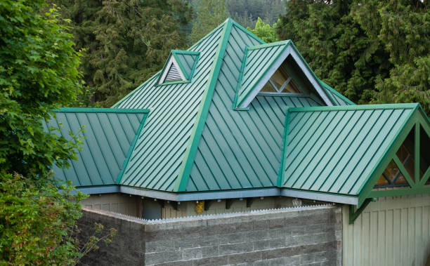 Best Roof Ventilation Installation  in Auburn, MI